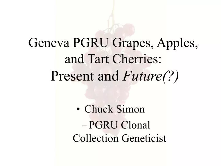 geneva pgru grapes apples and tart cherries present and future