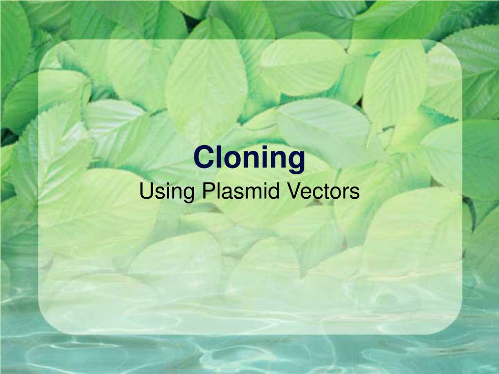 PPT - Cloning PowerPoint Presentation, free download - ID:4649534