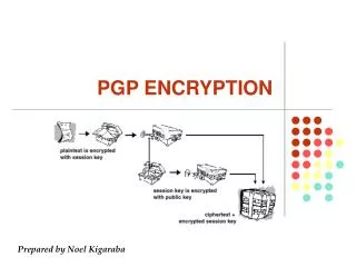 PGP ENCRYPTION