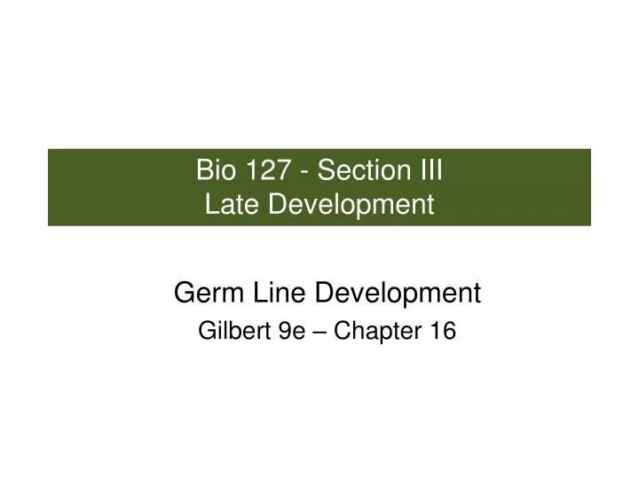 bio 127 section iii late development