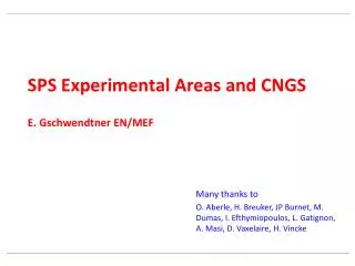 SPS Experimental Areas and CNGS E. Gschwendtner EN/MEF