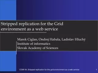 Stripped replication for the Grid environment as a web service