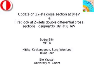 Update on Z+jets cross section at 8TeV &amp;
