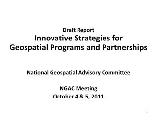Draft Report Innovative Strategies for Geospatial Programs and Partnerships
