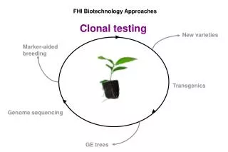 FHI Biotechnology Approaches