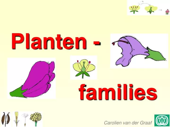 planten families