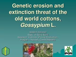 Genetic erosion and extinction threat of the old world cottons, Gossypium L .