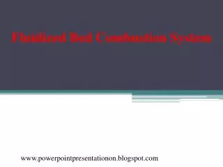Fluidized Bed Combustion System
