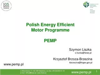 Polish Energy Efficient Motor Programme PEMP