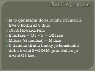 bun n cyklus