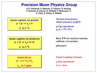 Precision Muon Physics Group