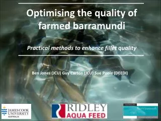 Optimising the quality of farmed barramundi Practical methods to enhance fillet quality