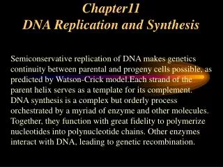 Chapter11 DNA Replication and Synthesis