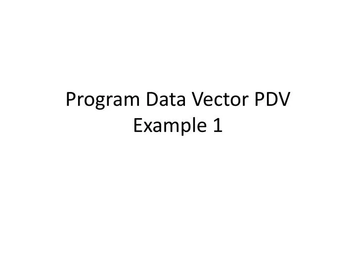 program data vector pdv example 1