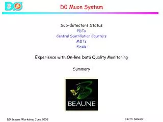 D0 Muon System