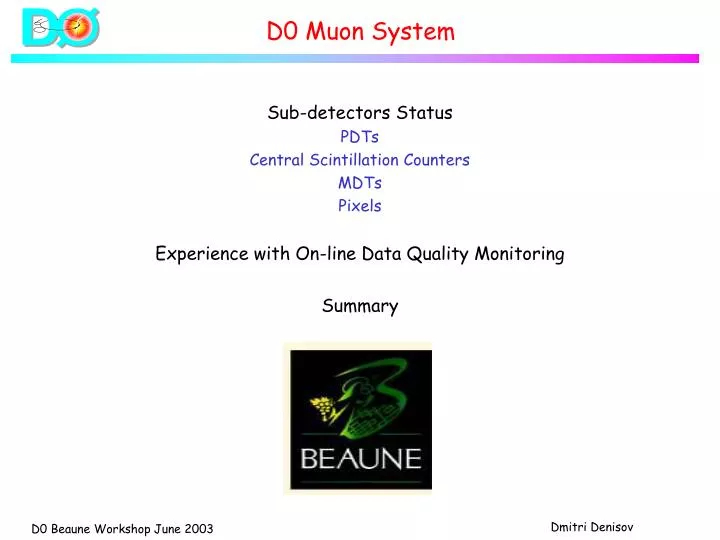 d0 muon system