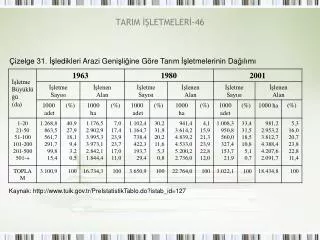 tarim letmeler 46