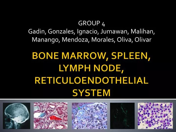 group 4 gadin gonzales ignacio jumawan malihan manango mendoza morales oliva olivar