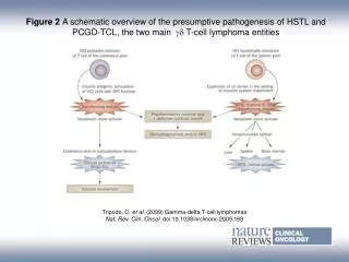 Tripodo, C. et al. (2009) Gamma-delta T-cell lymphomas