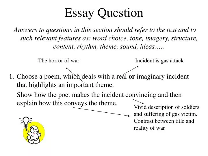 essay question