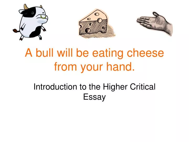 a bull will be eating cheese from your hand