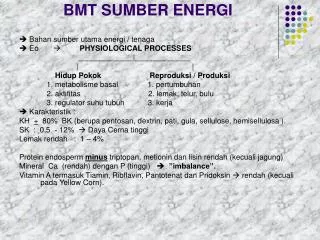 bmt sumber energi