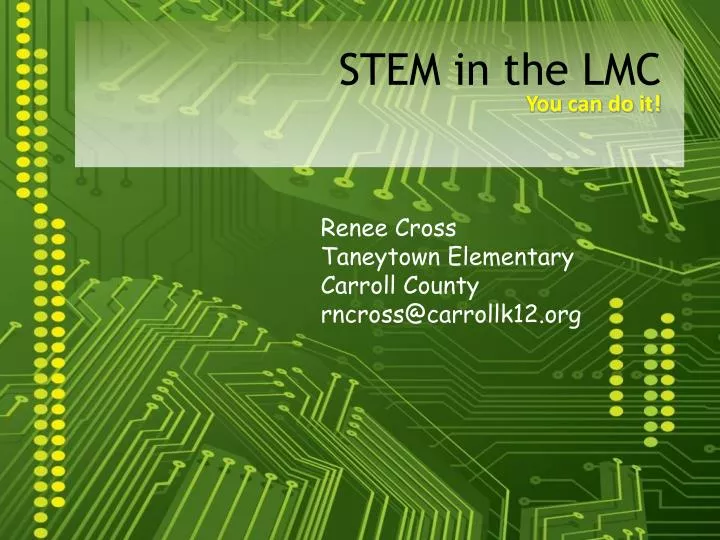 stem in the lmc