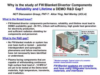 Why is the study of FW/Blanket/Divertor Components Reliability and Lifetime a DEMO R&amp;D Gap?