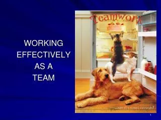 WORKING EFFECTIVELY AS A TEAM