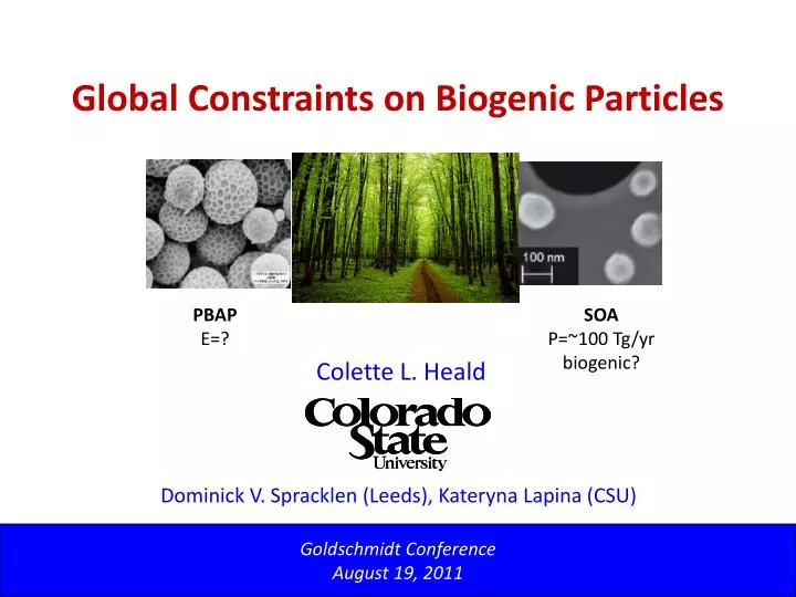 global constraints on biogenic particles