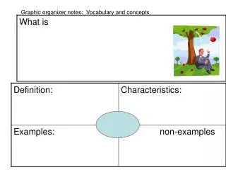 Graphic organizer notes: Vocabulary and concepts