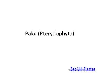 paku pterydophyta