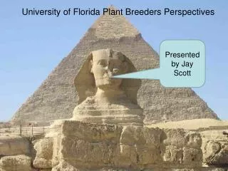 University of Florida Plant Breeders Perspectives