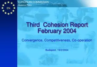 Third Cohesion Report February 2004