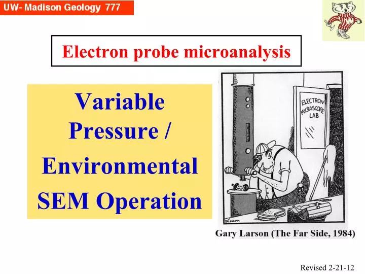 electron probe microanalysis