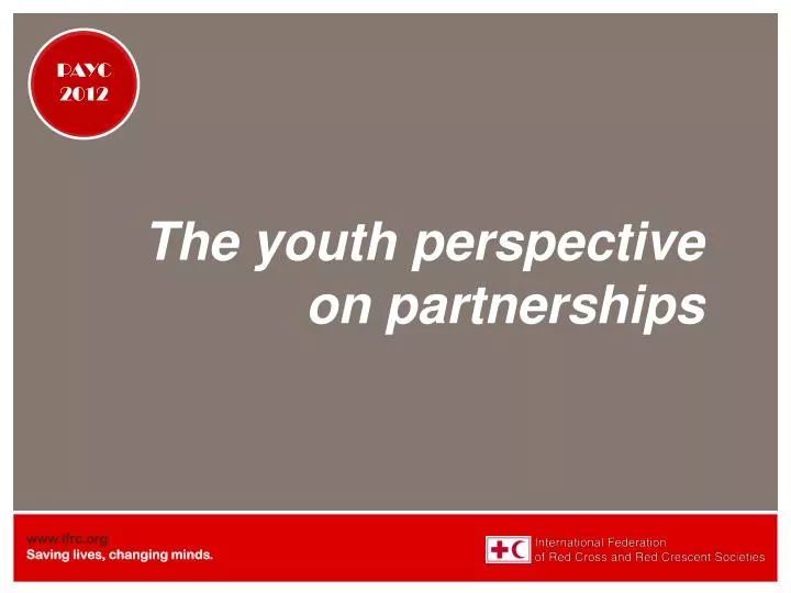 the youth perspective on partnerships