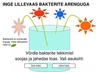 inge lillevaas bakterite arenguga