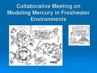 Collaborative Meeting on Modeling Mercury in Freshwater Environments