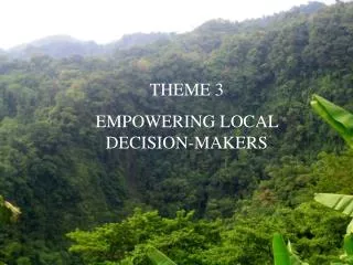 THEME 3 EMPOWERING LOCAL DECISION-MAKERS