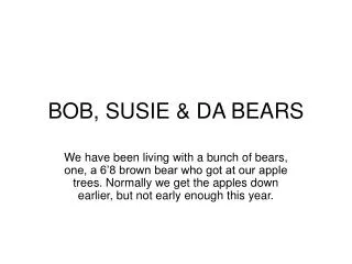 BOB, SUSIE &amp; DA BEARS
