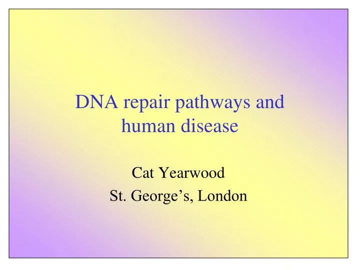 dna repair pathways and human disease