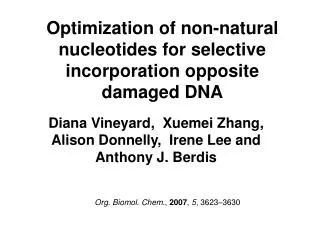 Optimization of non-natural nucleotides for selective incorporation opposite damaged DNA