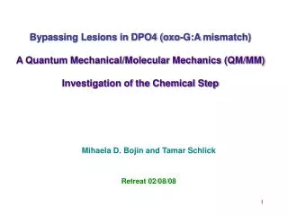 Bypassing Lesions in DPO4 (oxo-G:A mismatch)