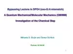 Investigating Bypass Mechanism of Lesions in DPO4 via QM/MM Methods - slide 1