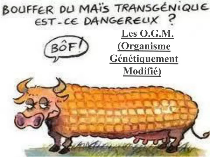 les o g m organisme g n tiquement modifi