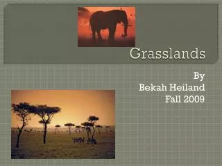 Grasslands