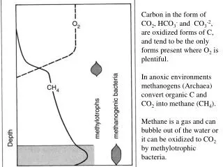 Carbon in the form of
