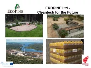 EKOPINE Ltd - Cleantech for the Future