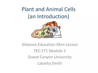 Plant and Animal Cells (an Introduction)