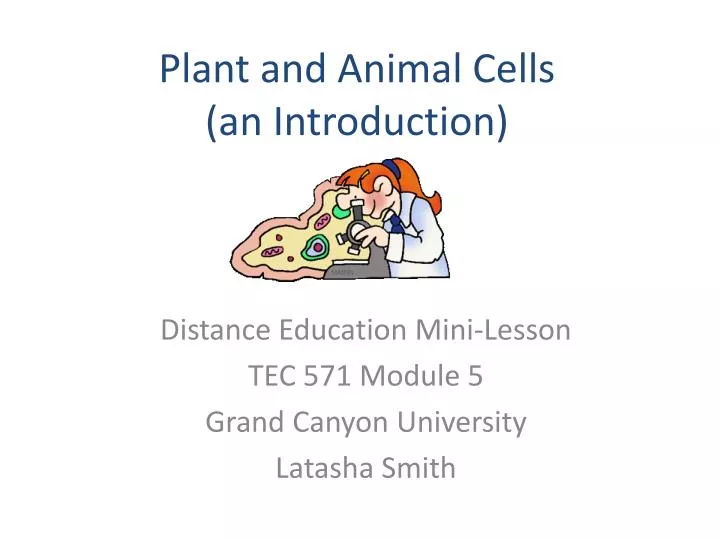 plant and animal cells an introduction